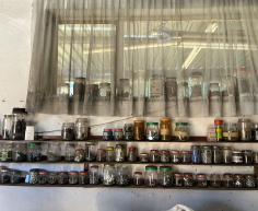 (2- SUIDEROORD)- JARS WITH SCREWS (R10 TO R30 PER JAR) PRICE ON DAY